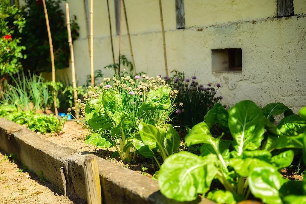 Masoe Des Chatards Bed & Breakfast Neuilly-le-Real